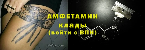 крисы Алзамай