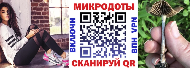 наркошоп  Черногорск  Псилоцибиновые грибы Psilocybe 